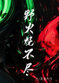 野火烧不尽小说知乎